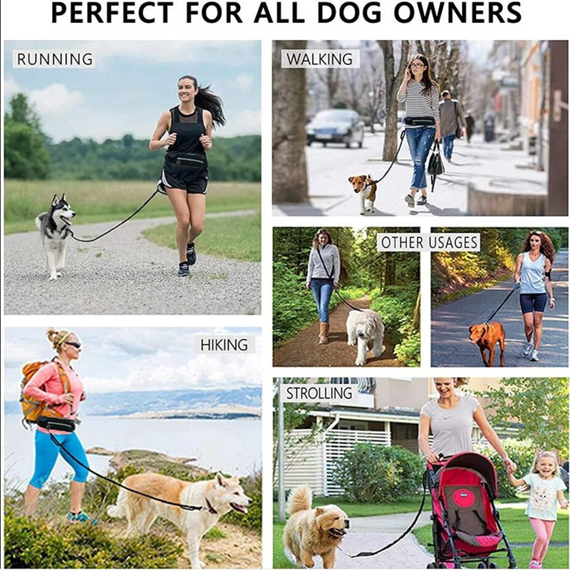 Correa para perros manos libres.