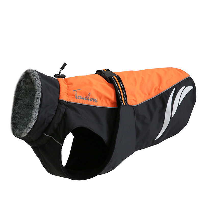 Chaqueta de plumas cálida y moderna para perros en invierno