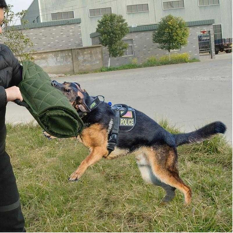 Mangas de entrenamiento para perros