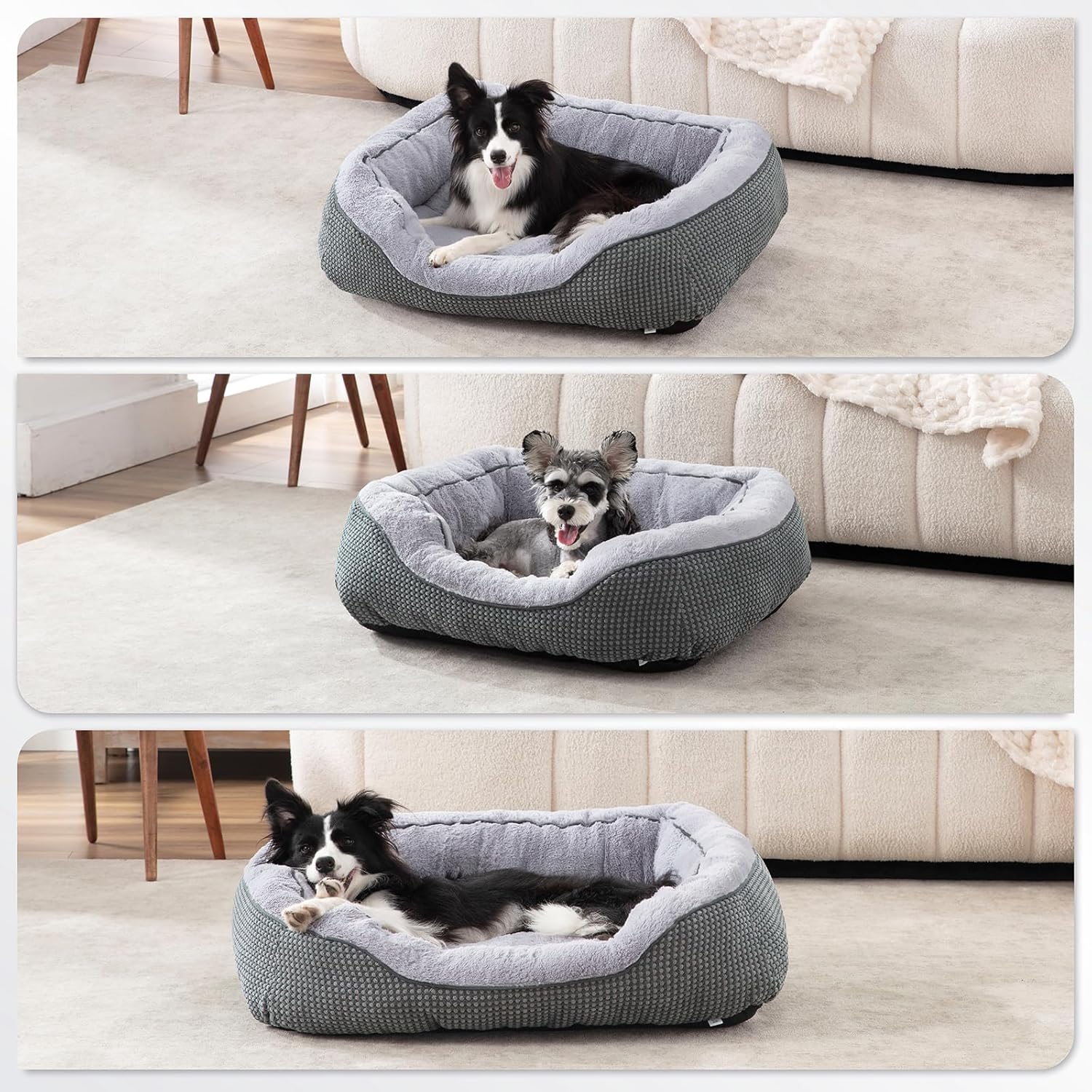 Cama de plumas para perros.