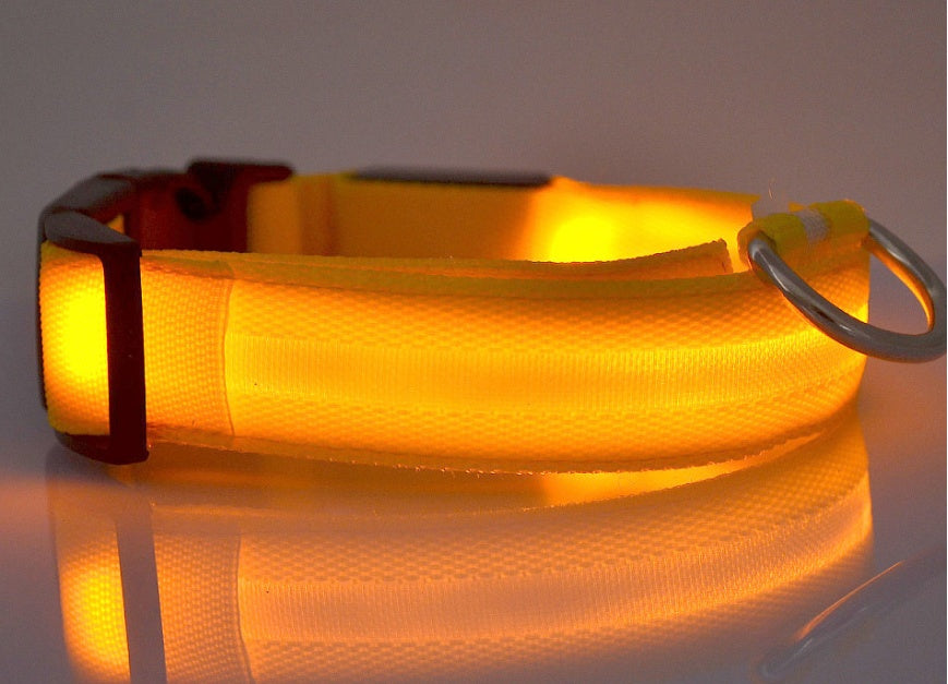 Collar luminoso LED de nailon para perros y mascotas