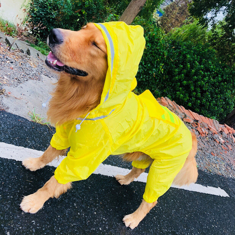 Chubasquero para perro