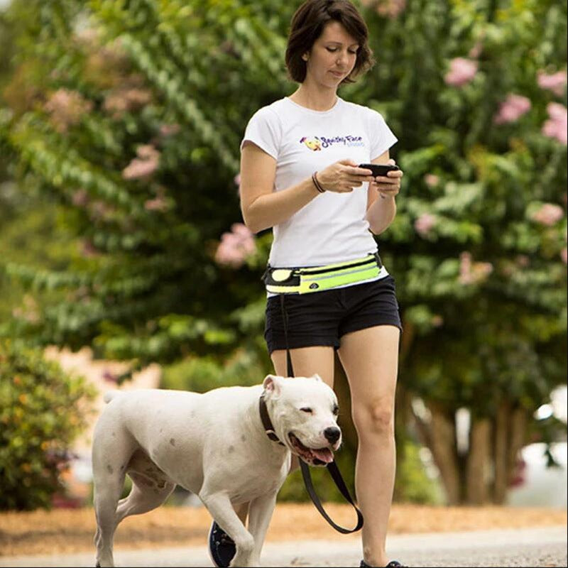 Correa para perros manos libres.