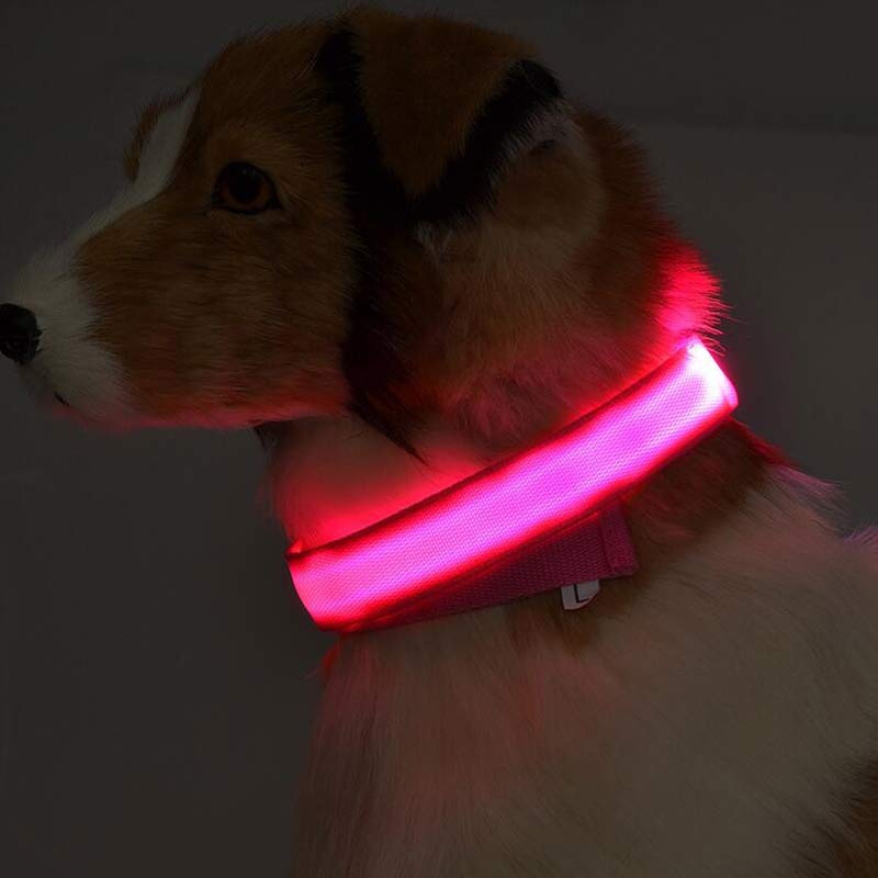 Collar luminoso LED de nailon para perros y mascotas