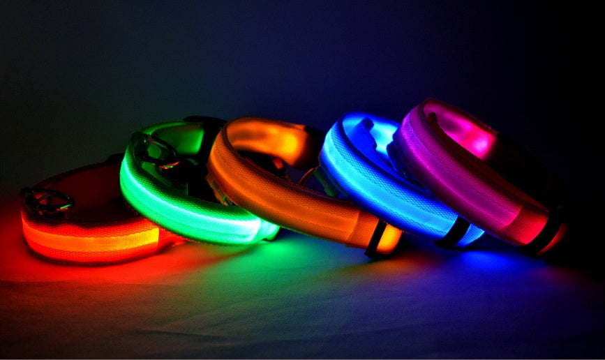 Collar luminoso LED de nailon para perros y mascotas