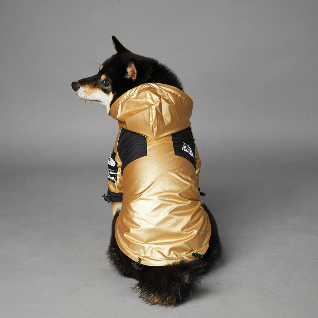 Chaqueta impermeable para perros