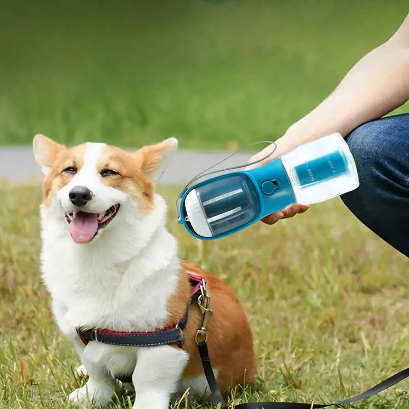 Taza tres en uno, suministros para mascotas