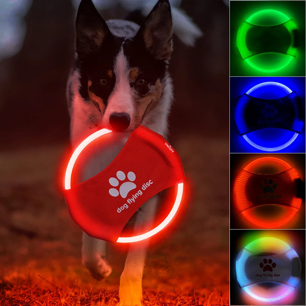 Discos voladores para perros, luz LED brillante