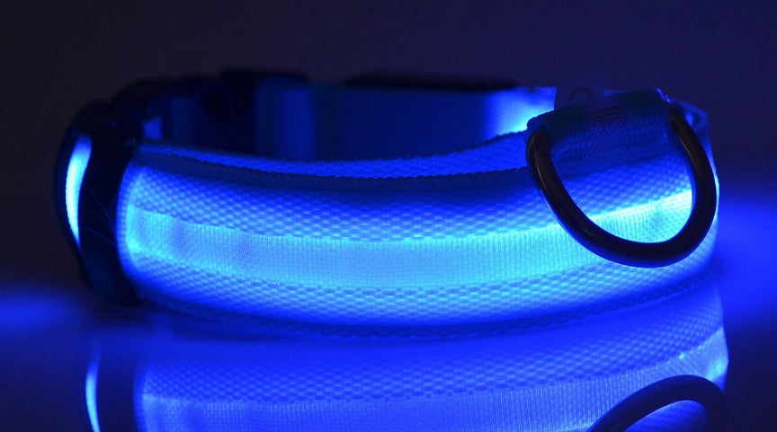 Collar luminoso LED de nailon para perros y mascotas