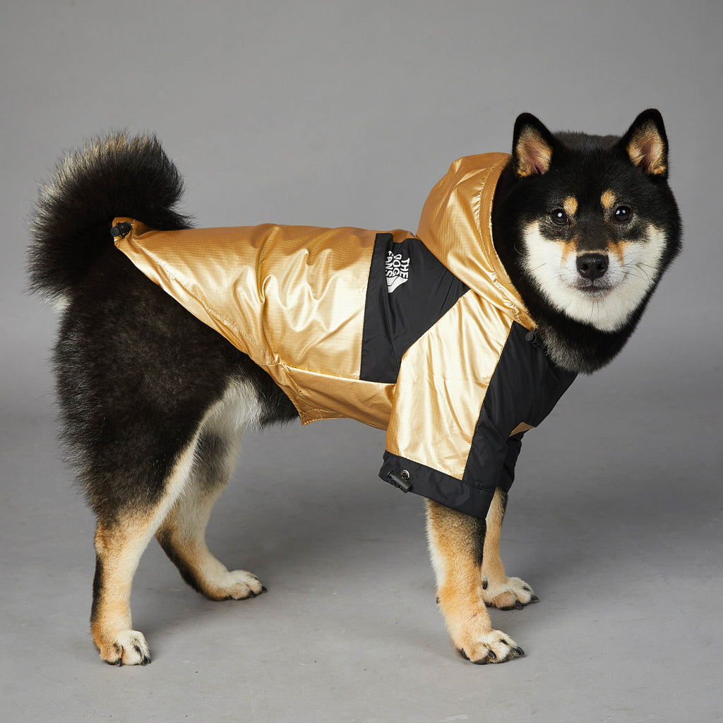 Chaqueta impermeable para perros