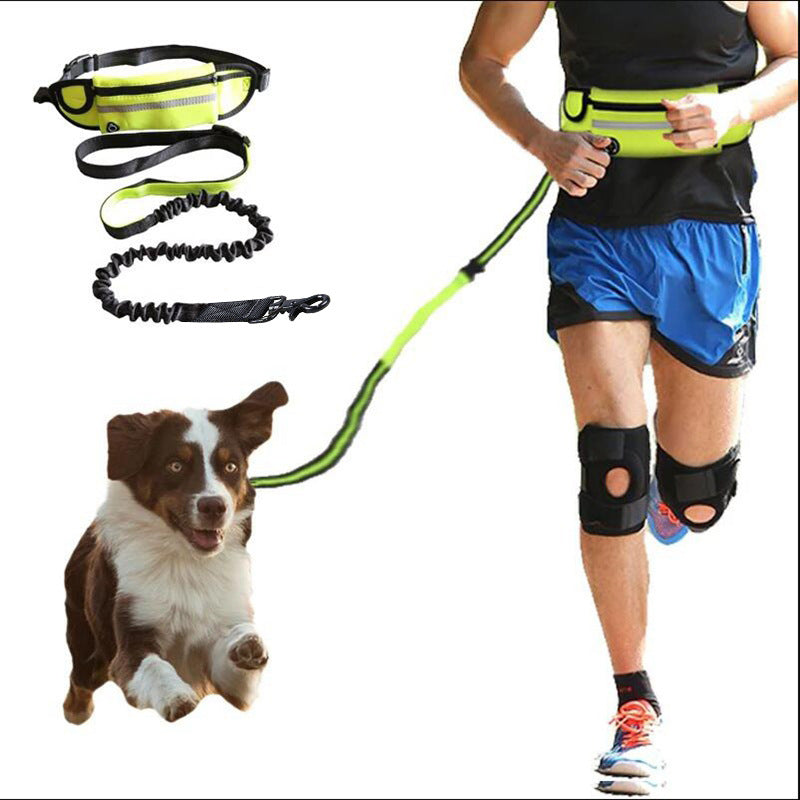 Correa para perros manos libres.