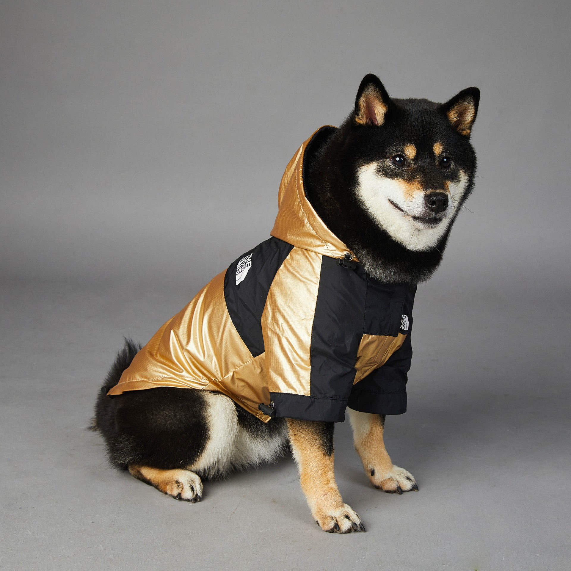 Chaqueta impermeable para perros