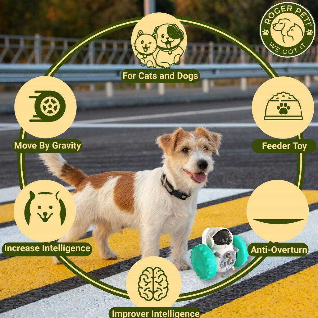 Juguete dispensador de premios para perros.