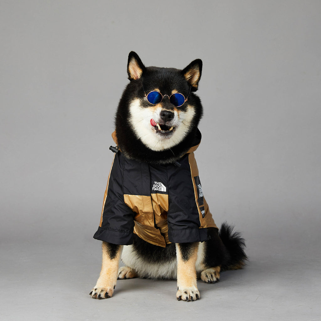 Chaqueta impermeable para perros