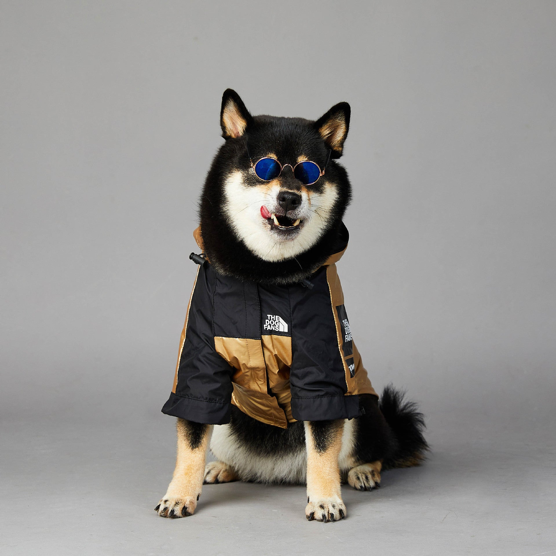 Chaqueta impermeable para perros
