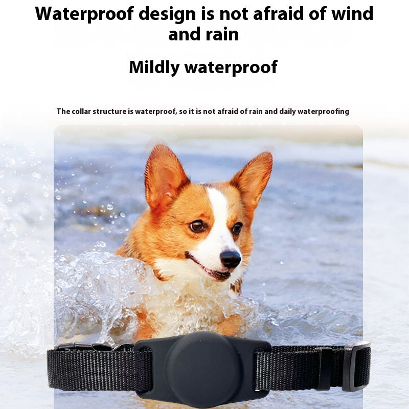 Nuevo dispositivo de alarma antipérdidas para tu mascota