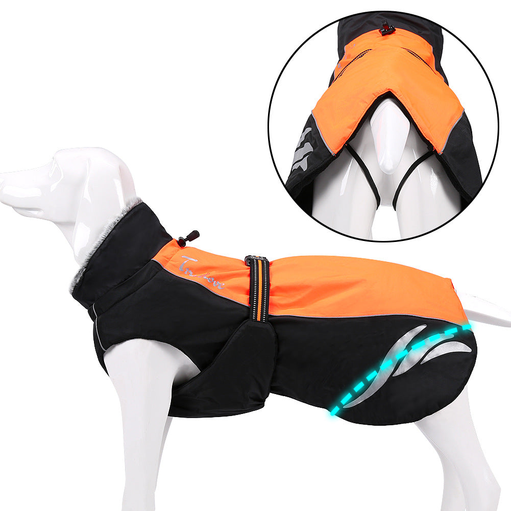 Chaqueta de plumas cálida y moderna para perros en invierno