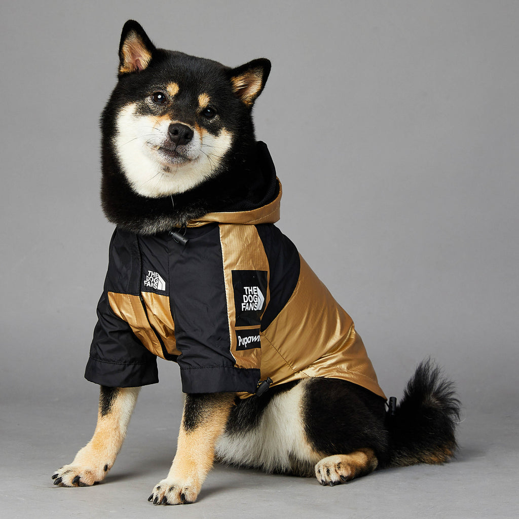 Chaqueta impermeable para perros
