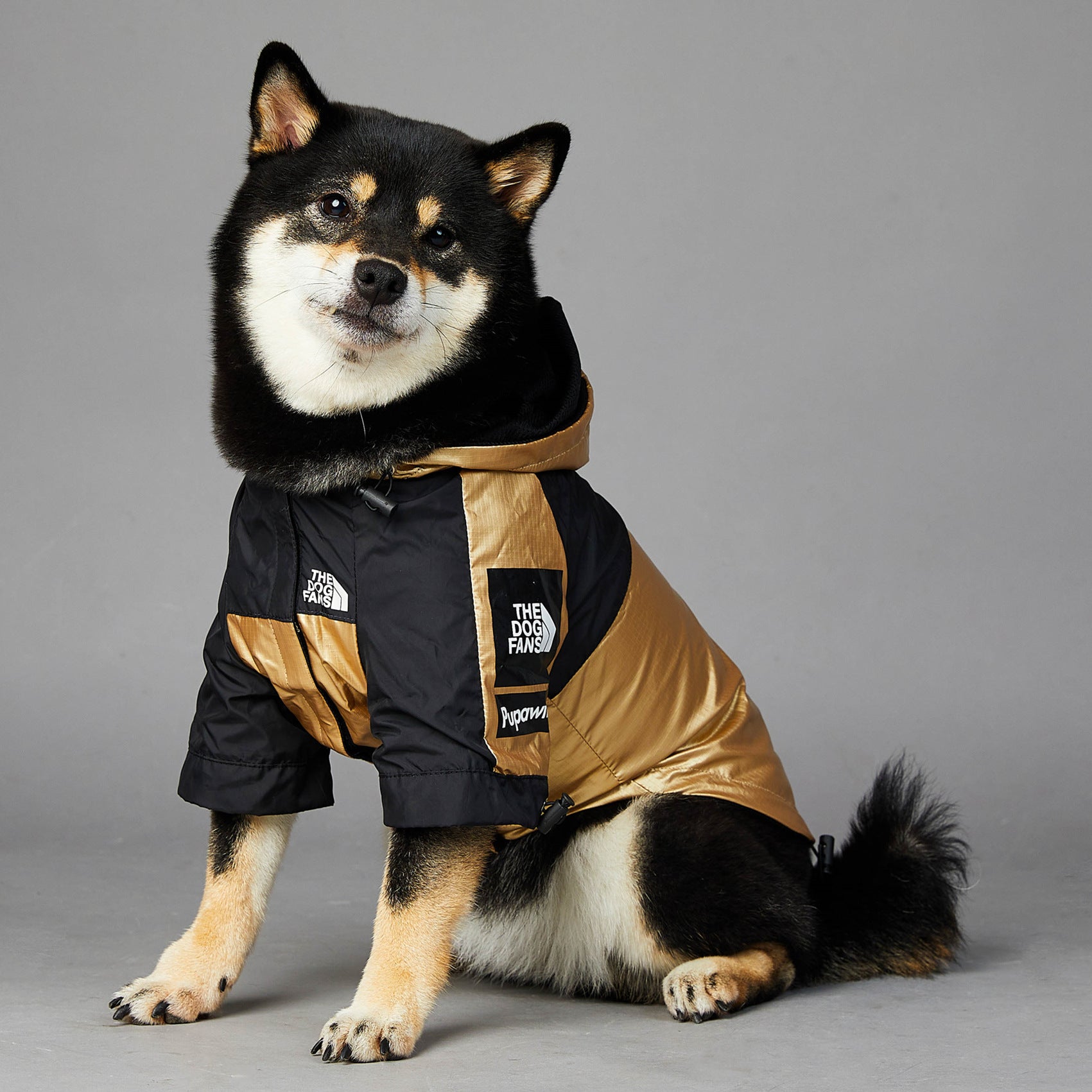 Chaqueta impermeable para perros